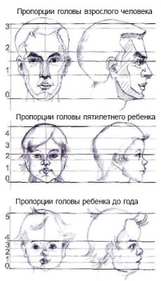 Изготовление куклы из полимерных пластиков. Лепим голову куклы: череп, глаза, нос, щеки, рот, подбородок, челюсть, шею.