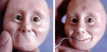 Изготовление куклы из полимерных пластиков. Лепим голову куклы: череп, глаза, нос, щеки, рот, подбородок, челюсть, шею.